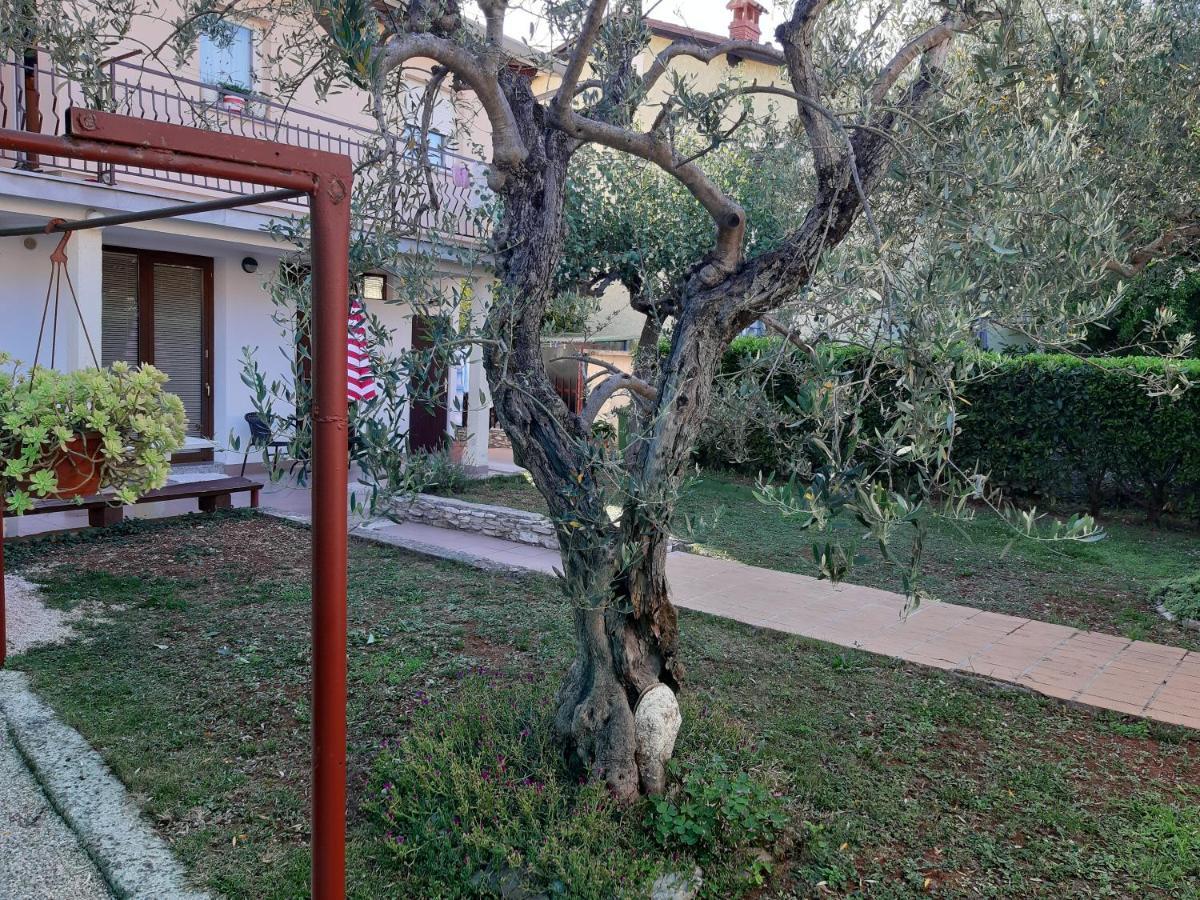 Studio Rocco Novigrad Istria Kültér fotó